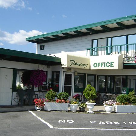 Flamingo Motel Penticton Kültér fotó