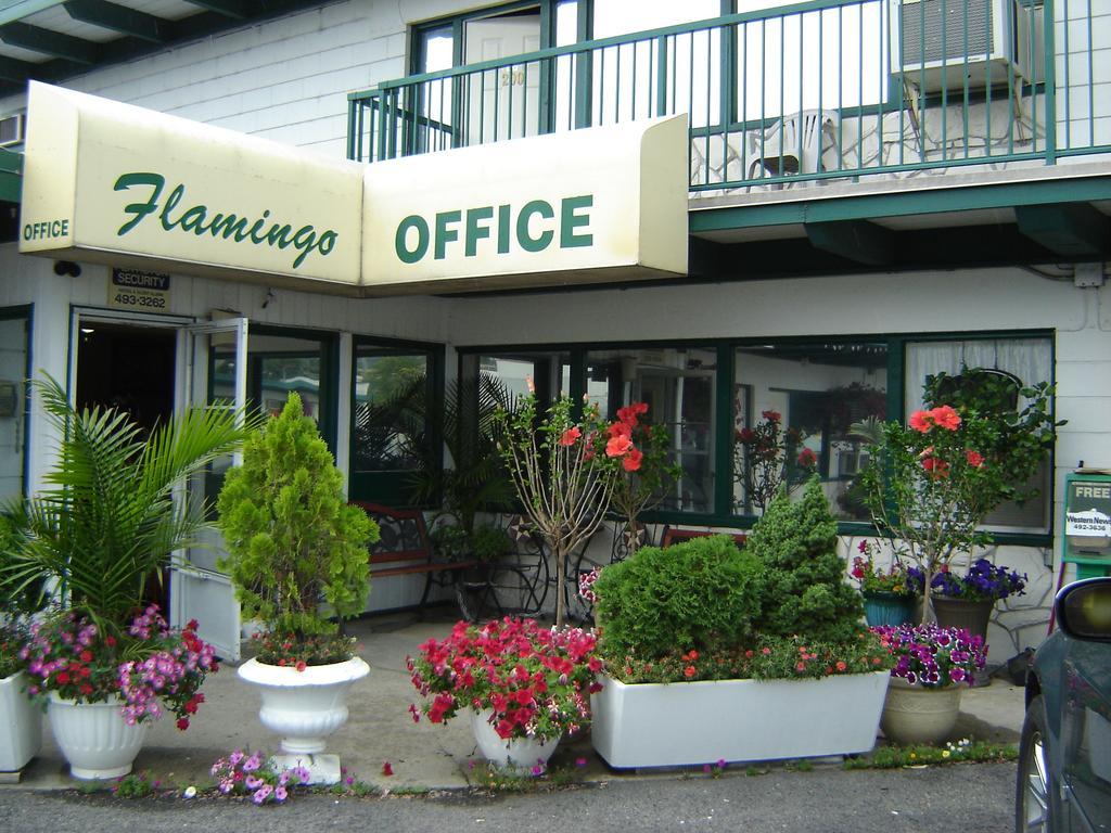 Flamingo Motel Penticton Kültér fotó
