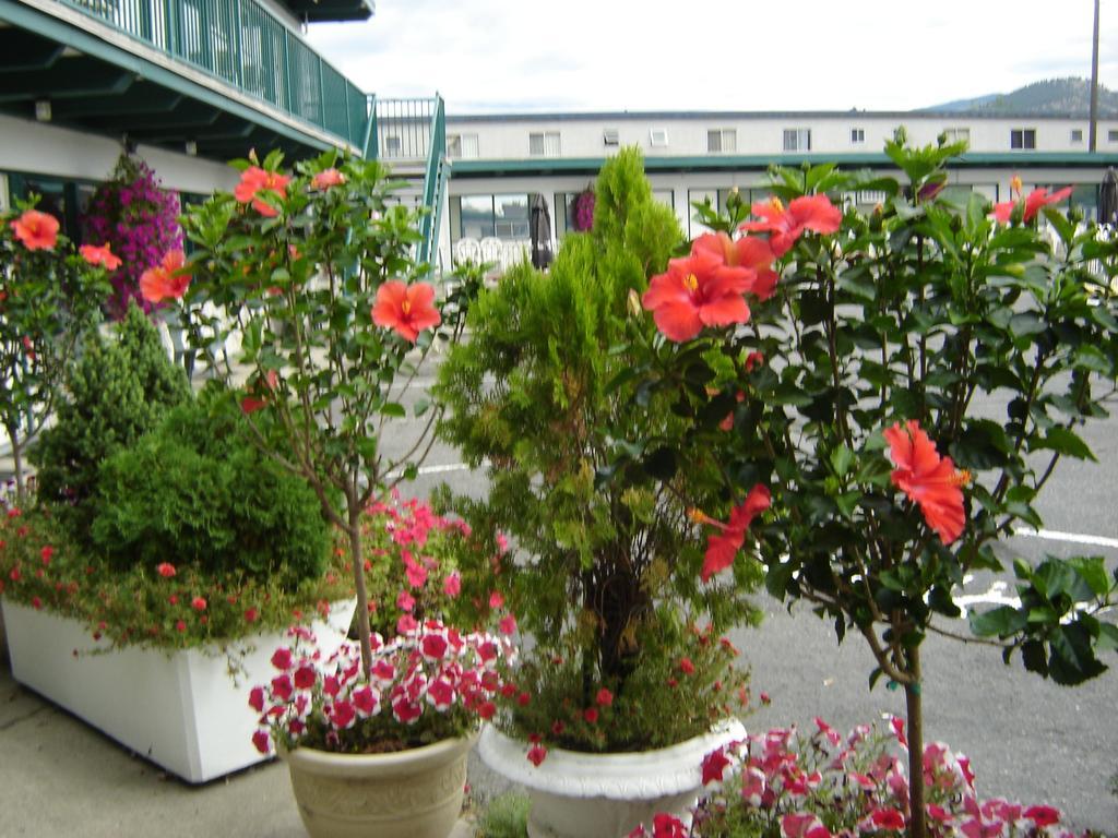 Flamingo Motel Penticton Kültér fotó