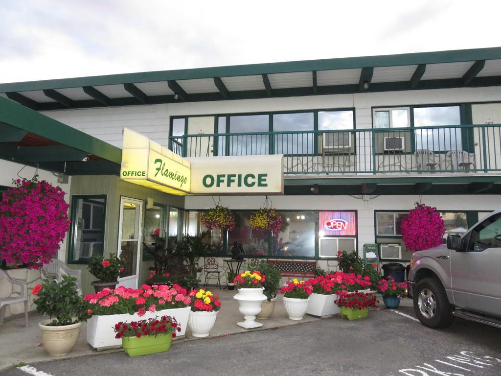 Flamingo Motel Penticton Kültér fotó